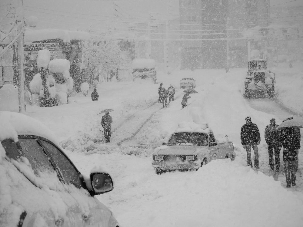 Фотография автора soroush Mohammadpour