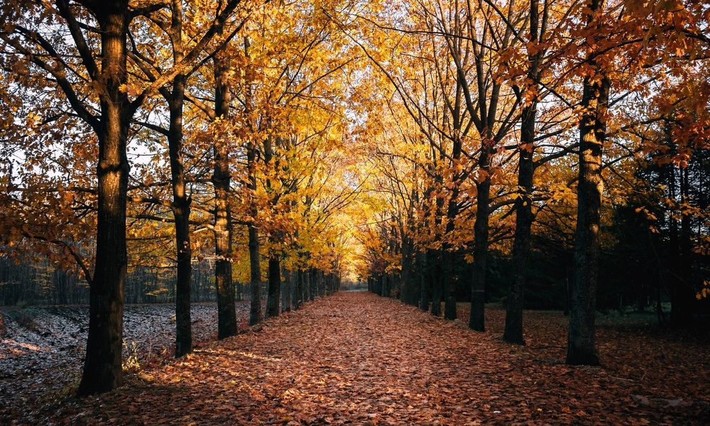 Photograph by Андрей Лободин