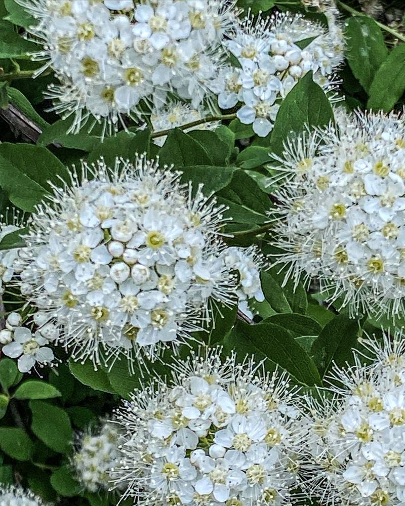 Photograph by Вера Романова