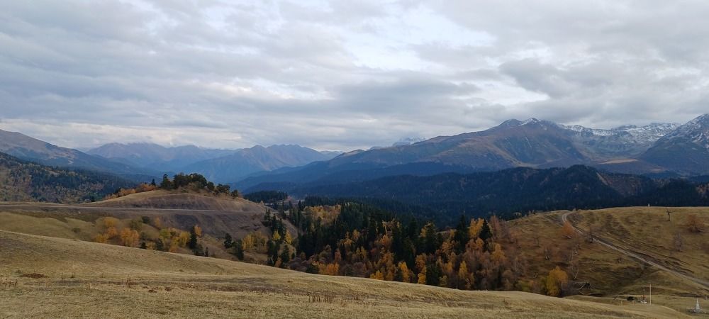 Photo #9563837