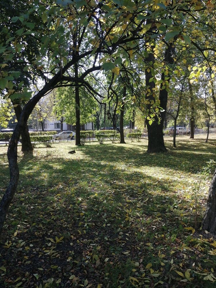 Фотография автора Татьяна Савранчук