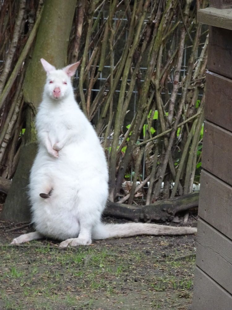 Photograph by Мила Милая