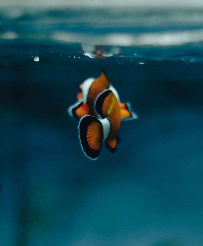 Photograph by Erfan Jahanbazi