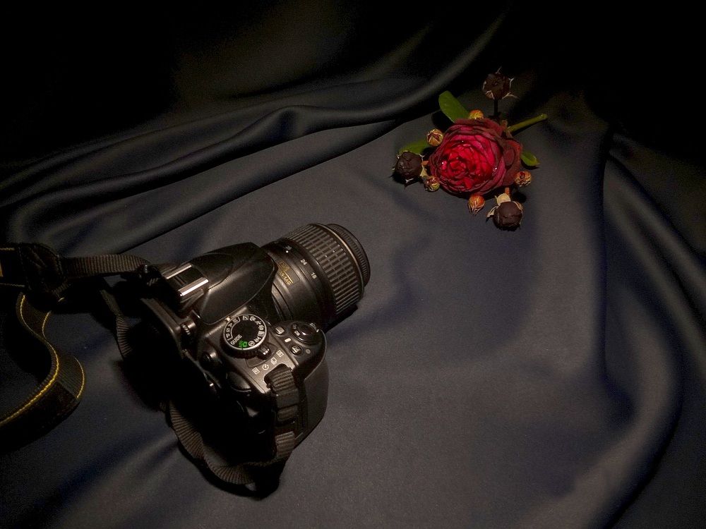 Photograph by Марина Стародуб