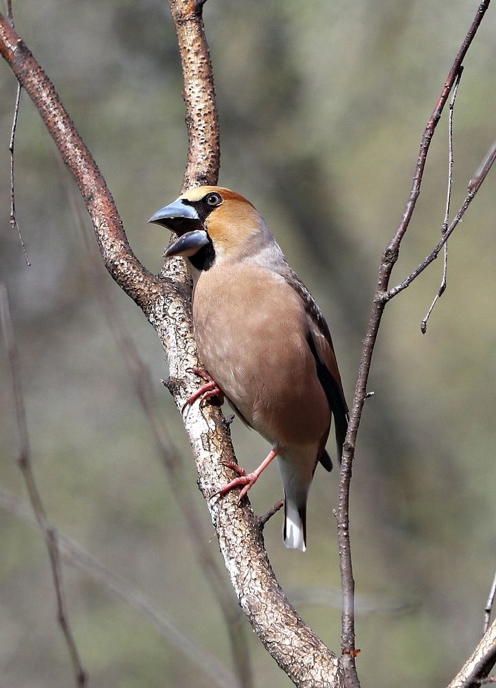 Photograph by Екатерина Мстиславская
