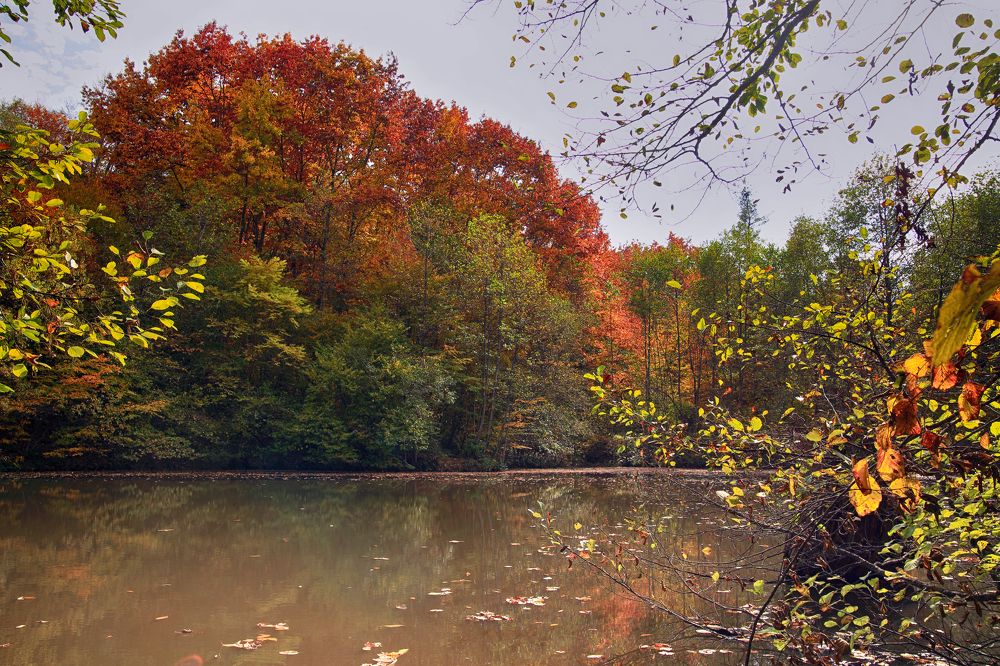 Photograph by Павел Пименов