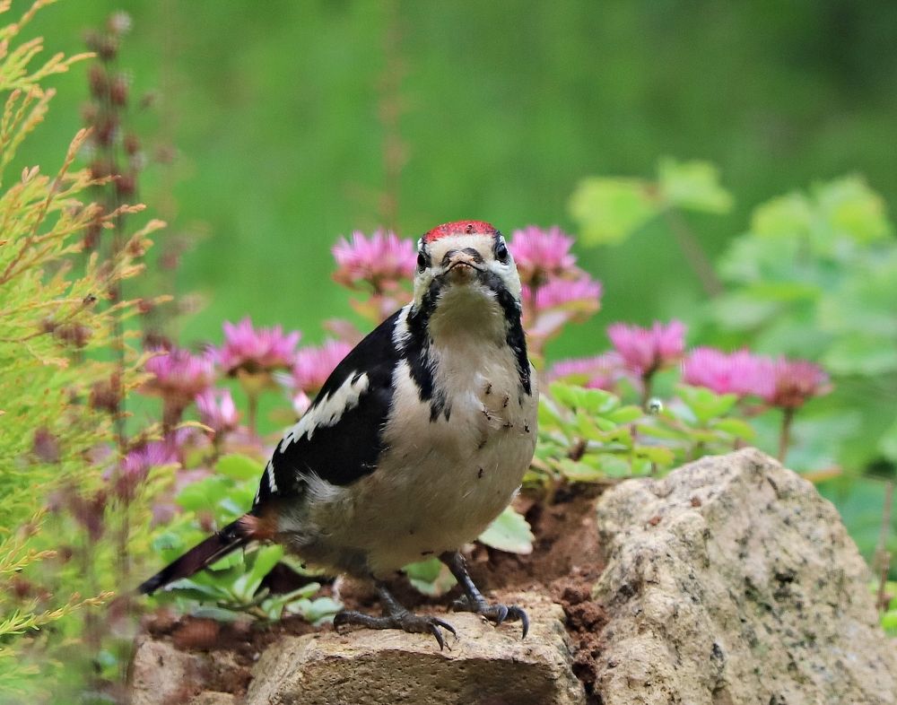 Photograph by Екатерина Мстиславская