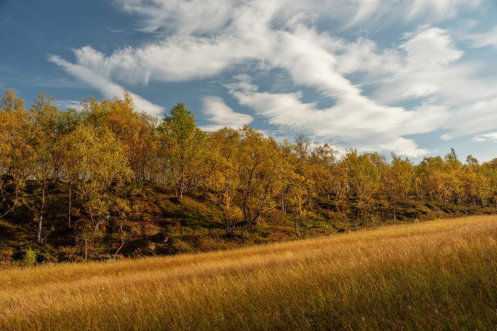 Photograph by Марина Зборацкая