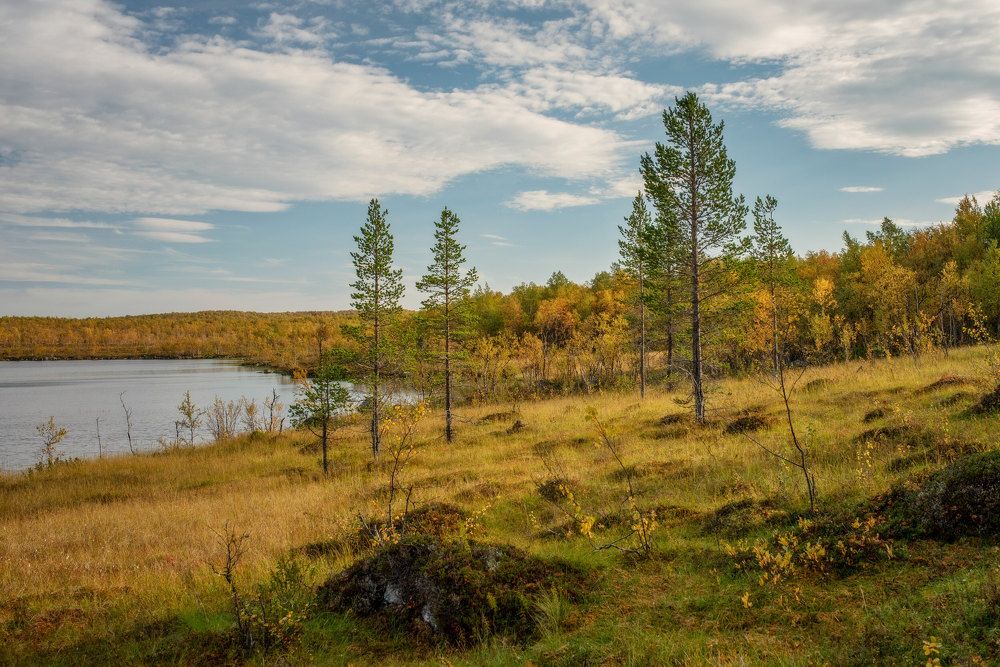 Photograph by Марина Зборацкая