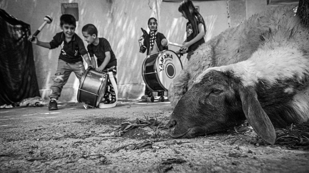 Photograph by mobin the abstract