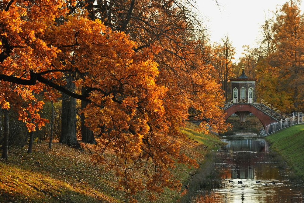 Photograph by Харис Шахмаметьев