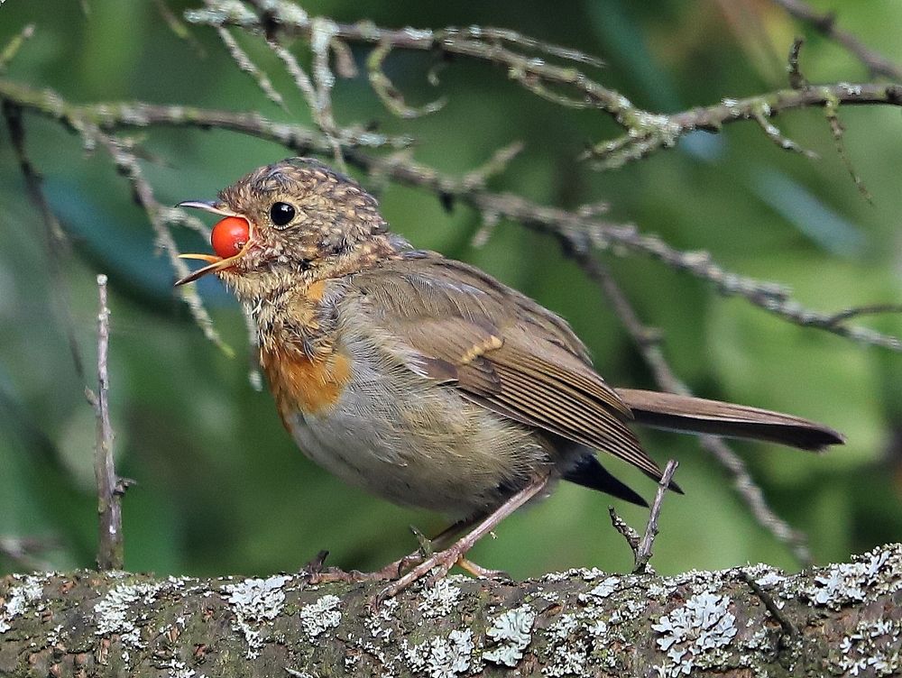 Photograph by Екатерина Мстиславская