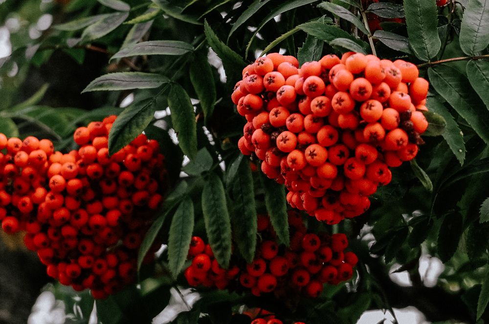 Photograph by Илья Хрусталев