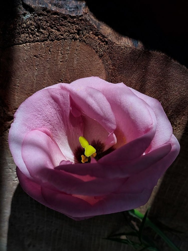 Photograph by Наталия Дроздова