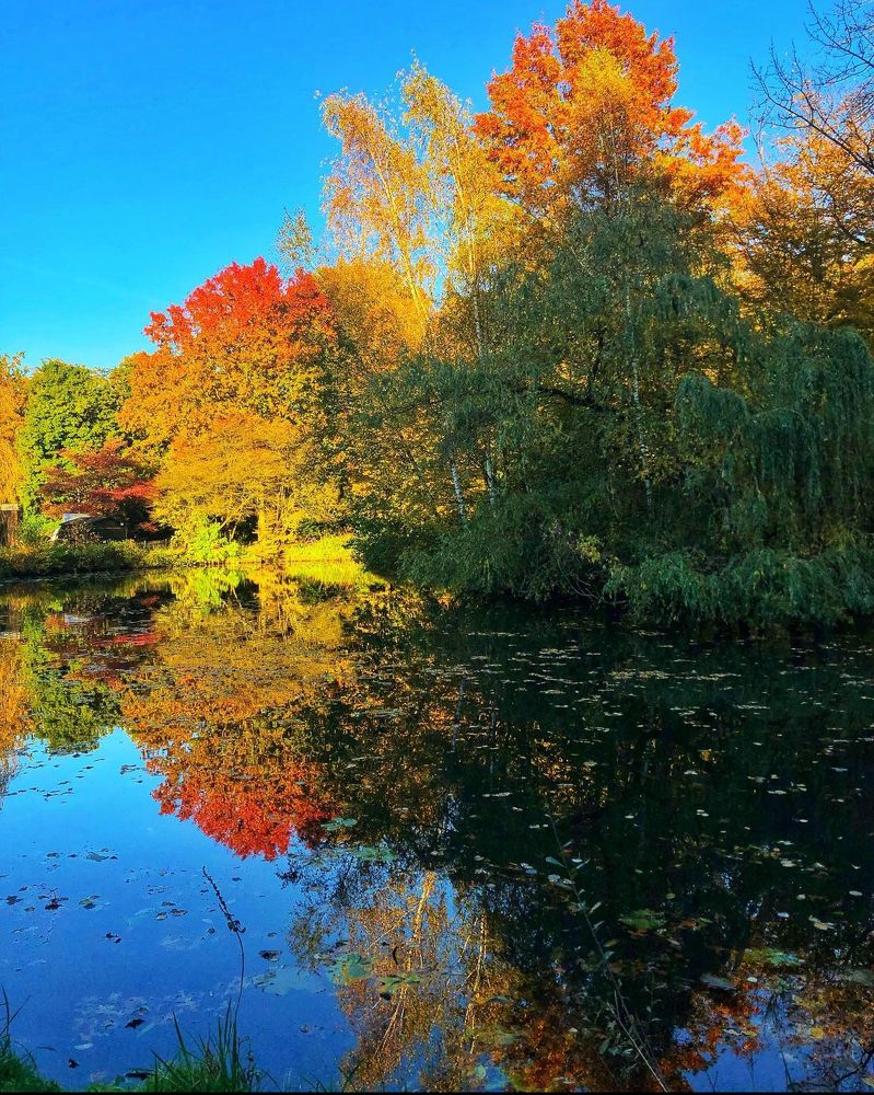 Photograph by Fatima Salimi