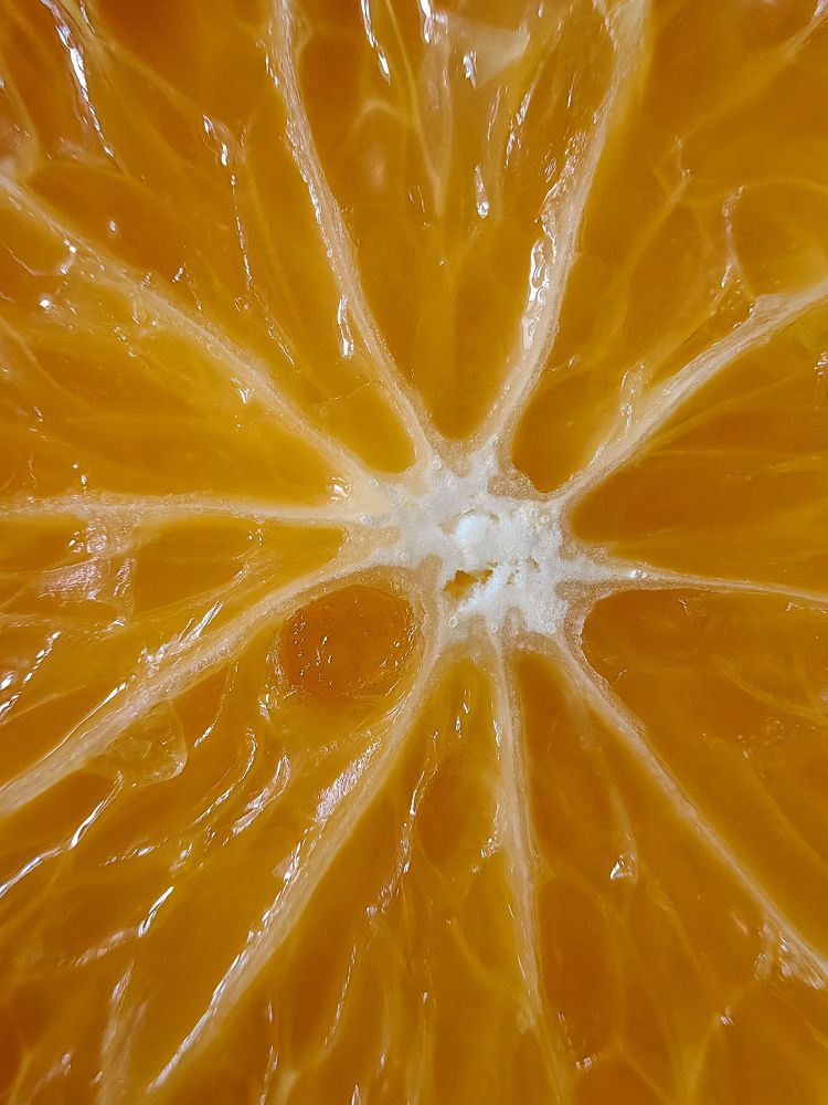 Photograph by Татьяна Желобкова