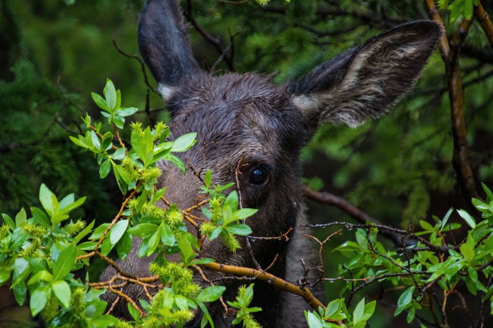 Photograph by Elaina Holland