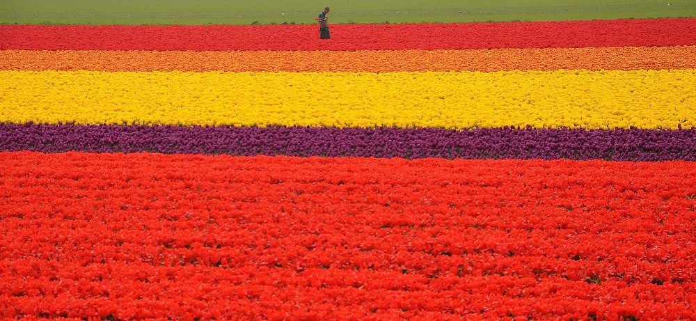 Фотография автора Ковяк Сергей Васильевич
