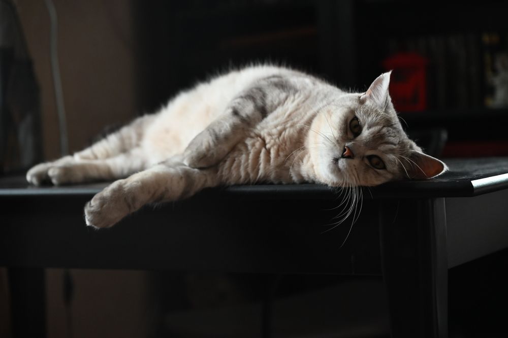 Photograph by Светлана Рубникович