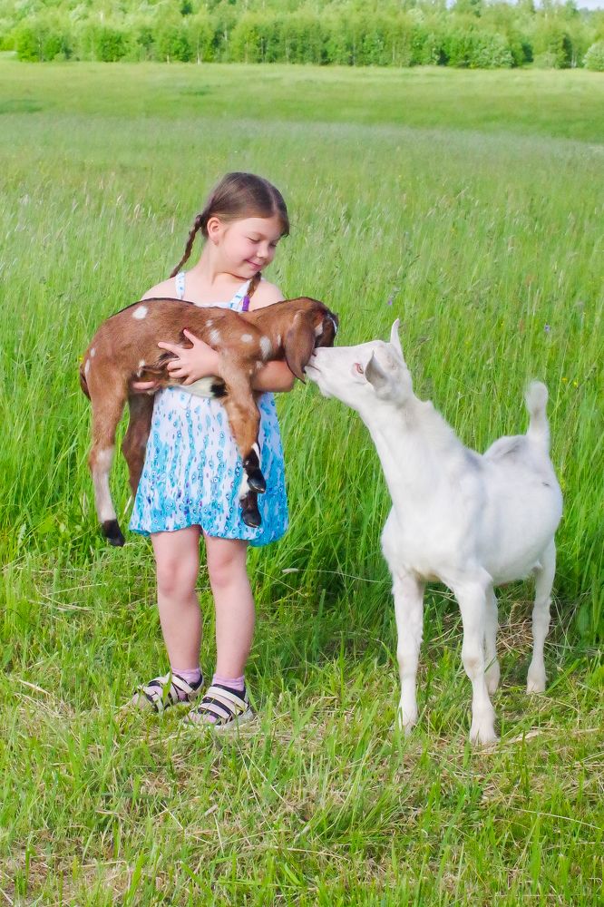 Photograph by Александр Трошин