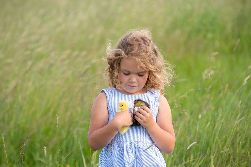 Photograph by Александр Трошин