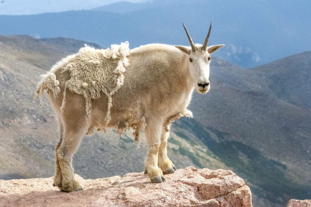 Photograph by Elaina Holland