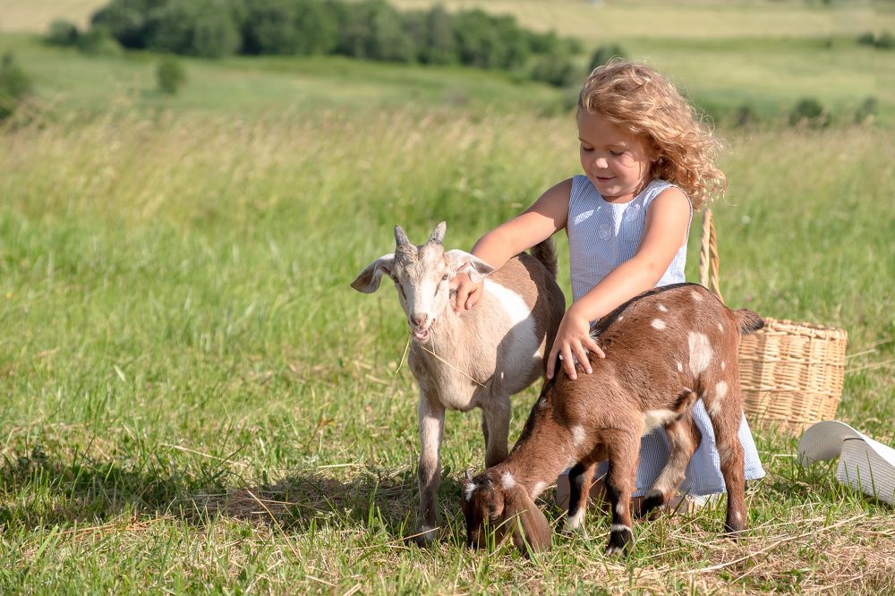 Photograph by Александр Трошин