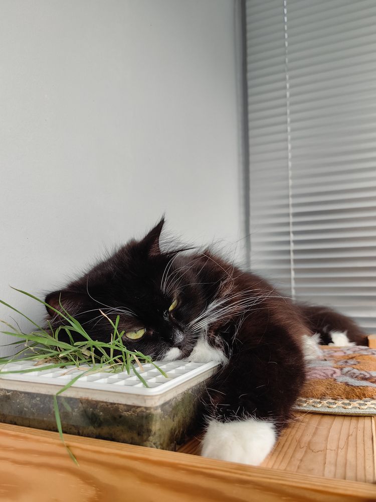 Photograph by Татьяна Желобкова