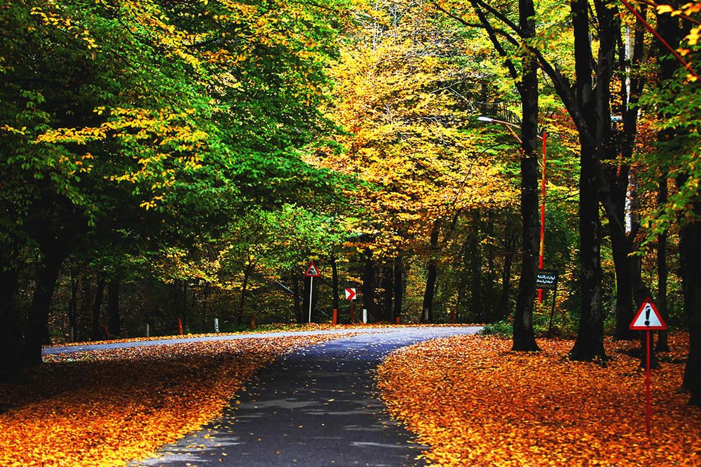 Photograph by mehdi karimi souderjani