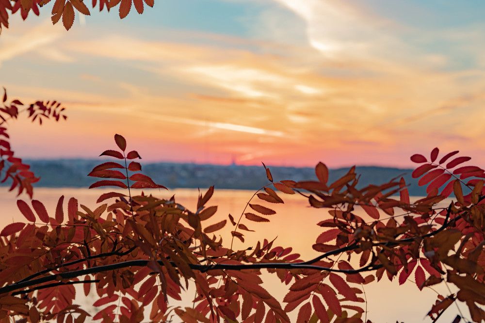 Photograph by Михаил Костыря