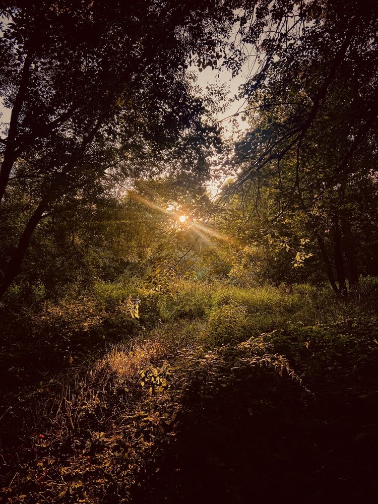 Photograph by Oksana Smorodina