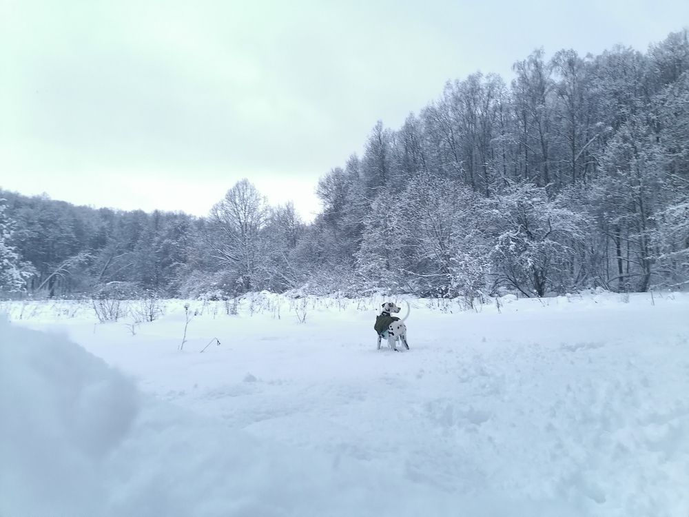 Photograph by Станислав Евсеев