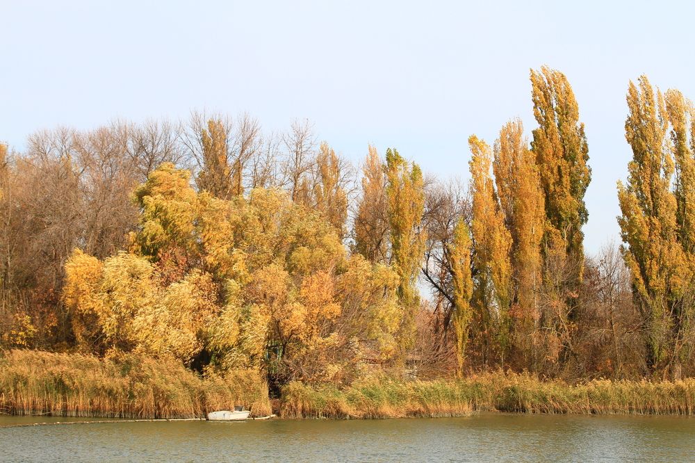 Photograph by Сергей Оплачко