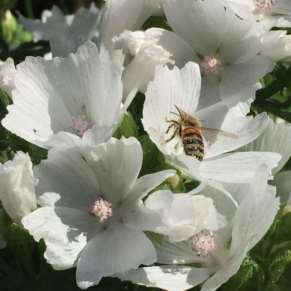 Фотография автора Василий Здоровецкий
