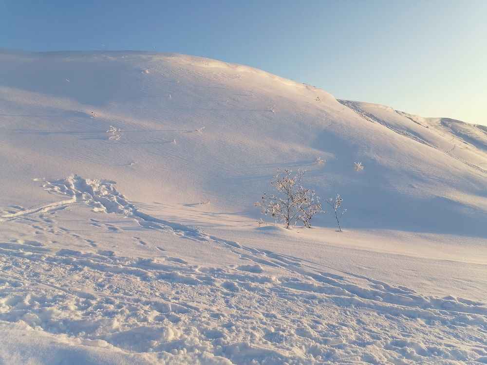 Photograph by Станислав Евсеев