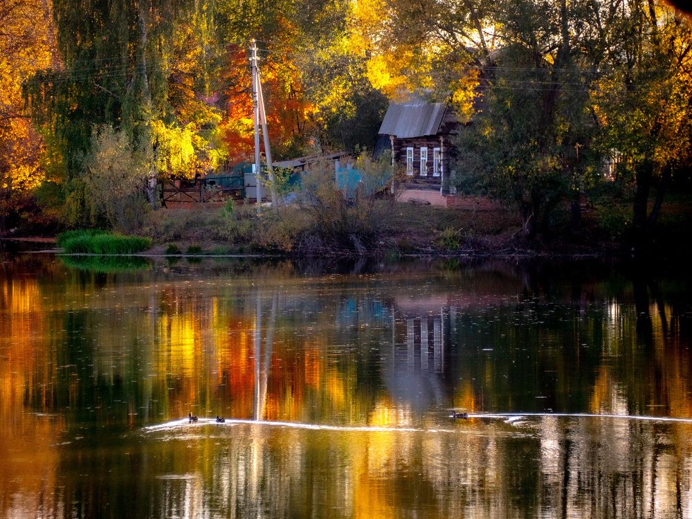 Photograph by Сергей Забиякин