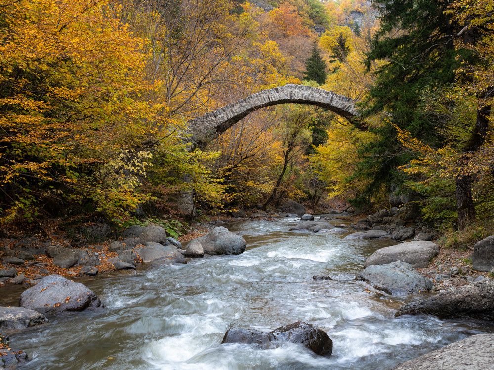 Photograph by Genadi Yakovlev