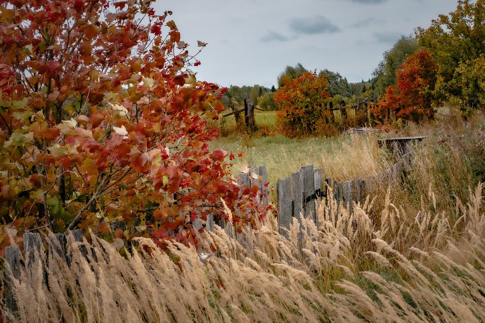 Осень у околицы