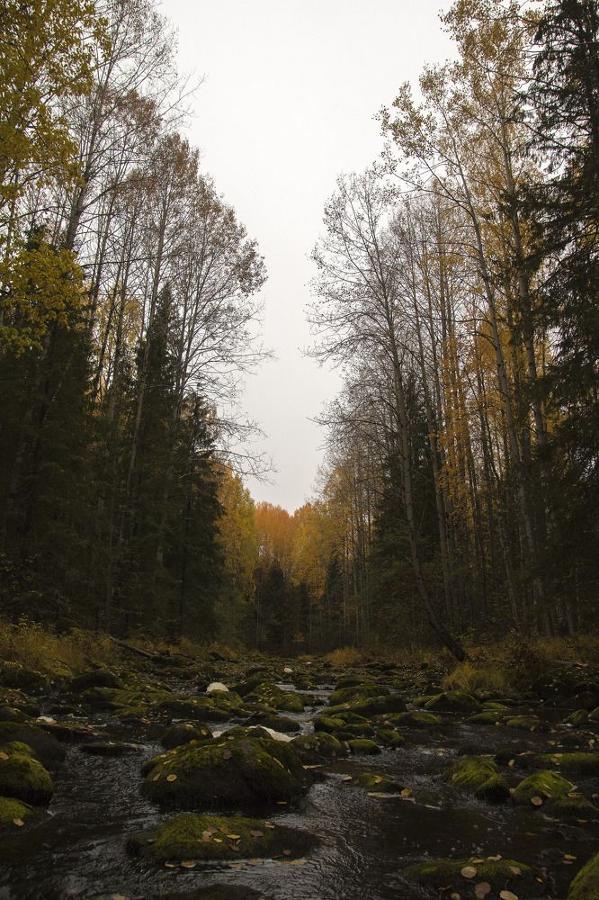 Photograph by Давыдов Николай
