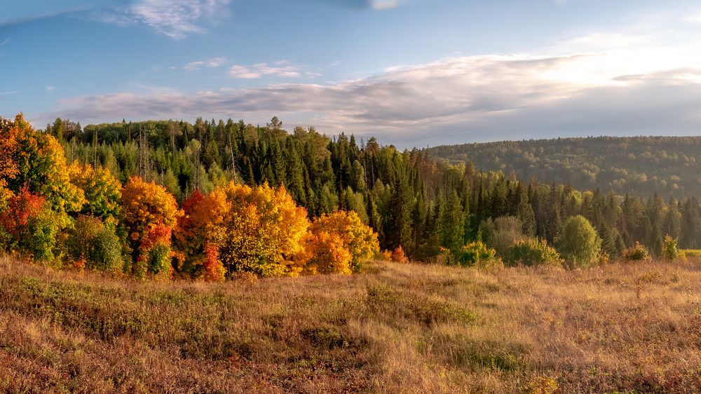 Photograph by Сергей Забиякин