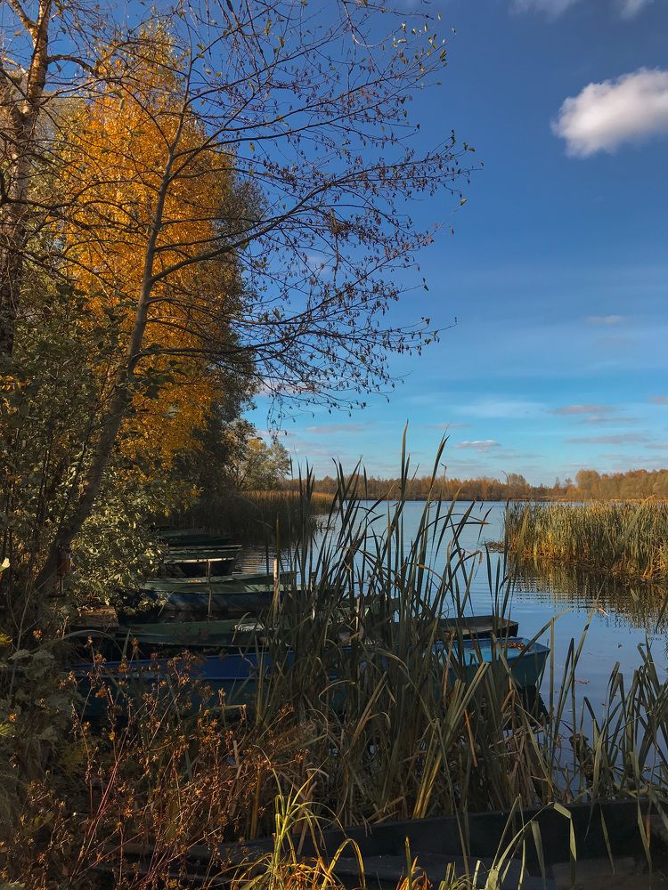 Photograph by Диана Янковская