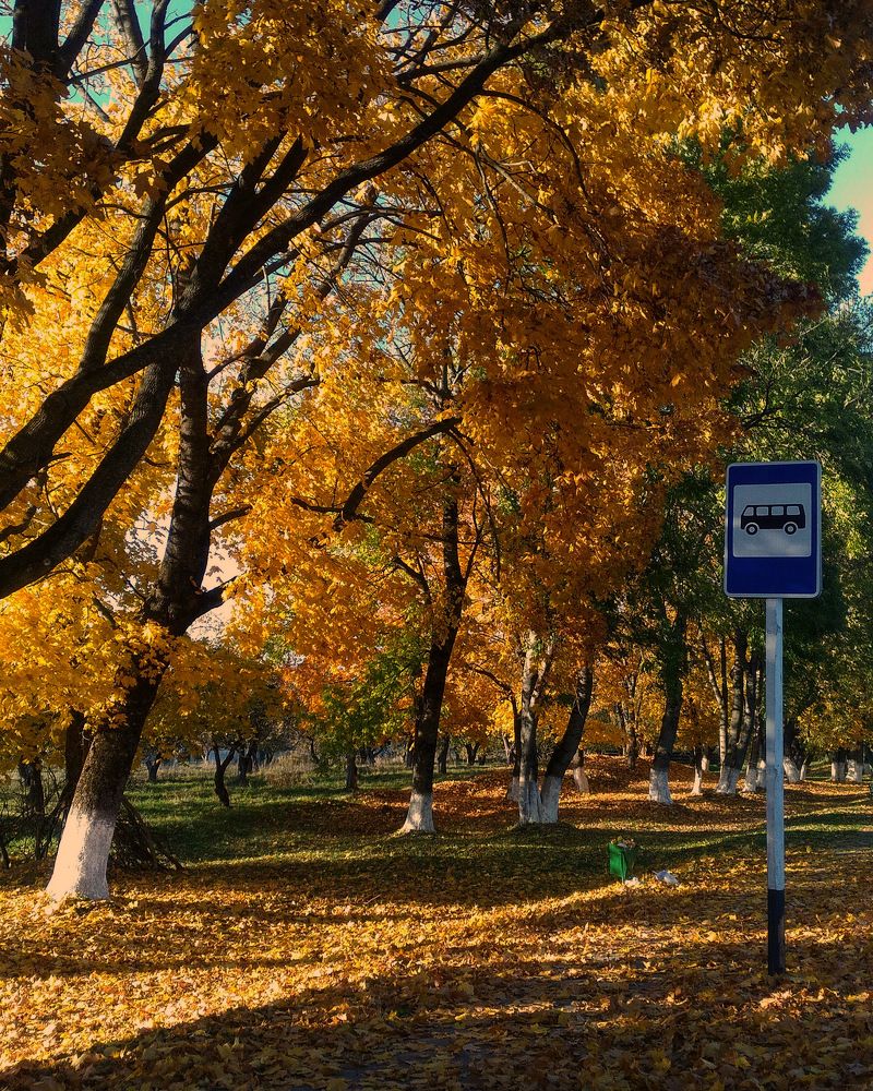 Photograph by Диана Янковская