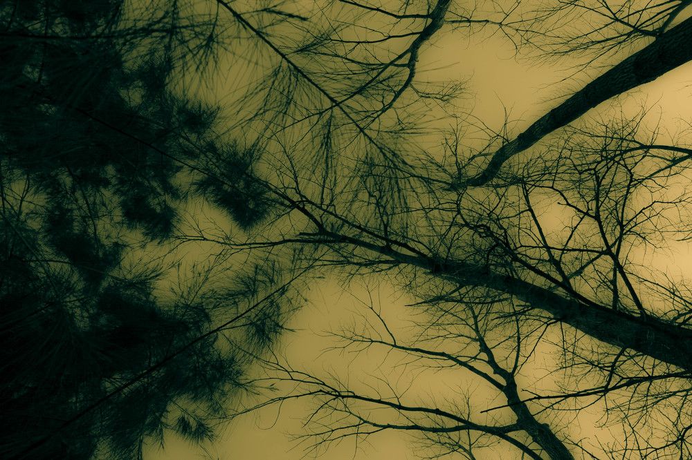 Photograph by Marcelo Lopez