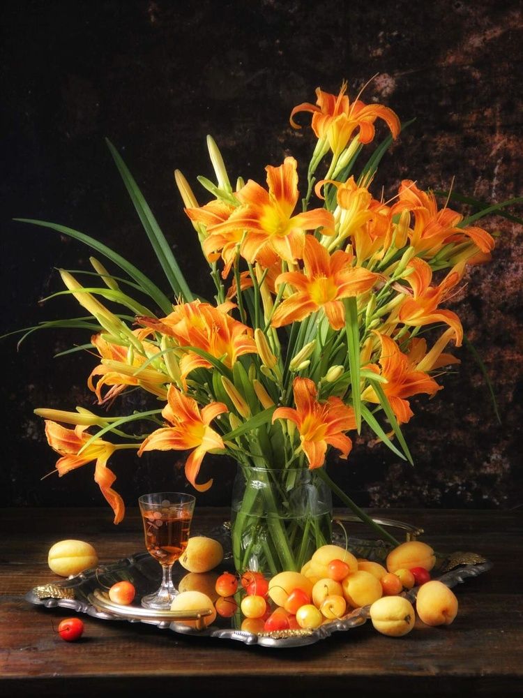 Фотография автора Елена Доянова