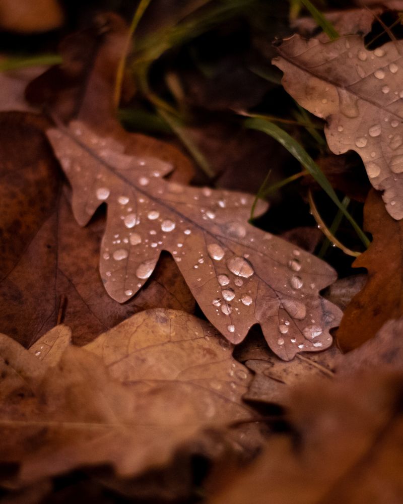 Photograph by Михаил Андронов