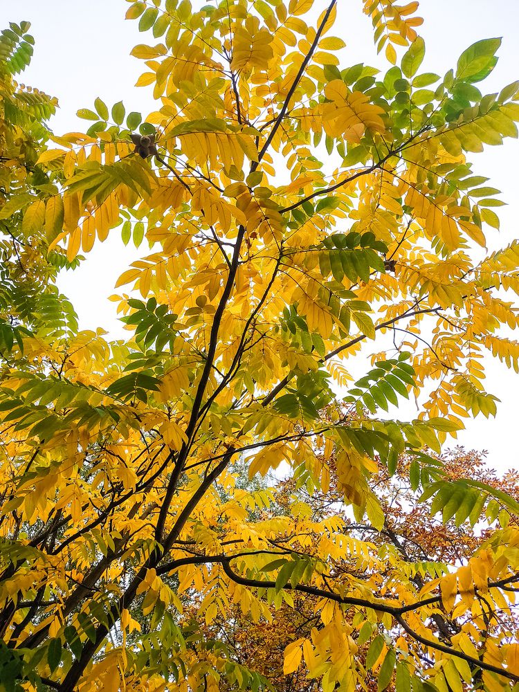 Фотография автора Екатерина Высоцкая