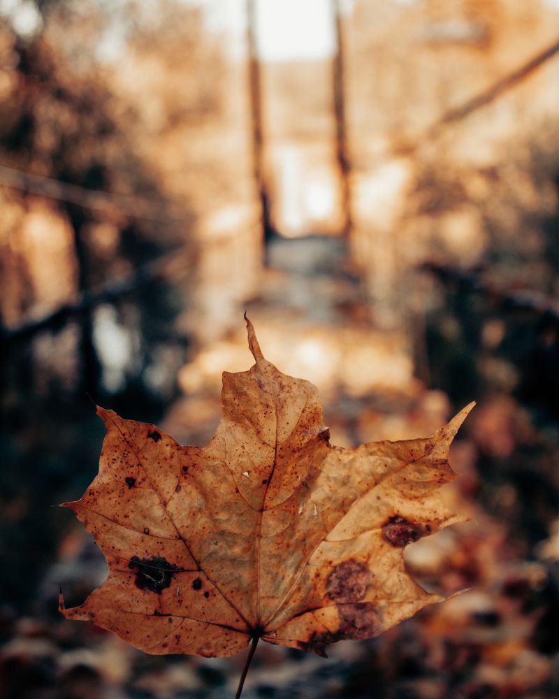 Photograph by Михаил Андронов