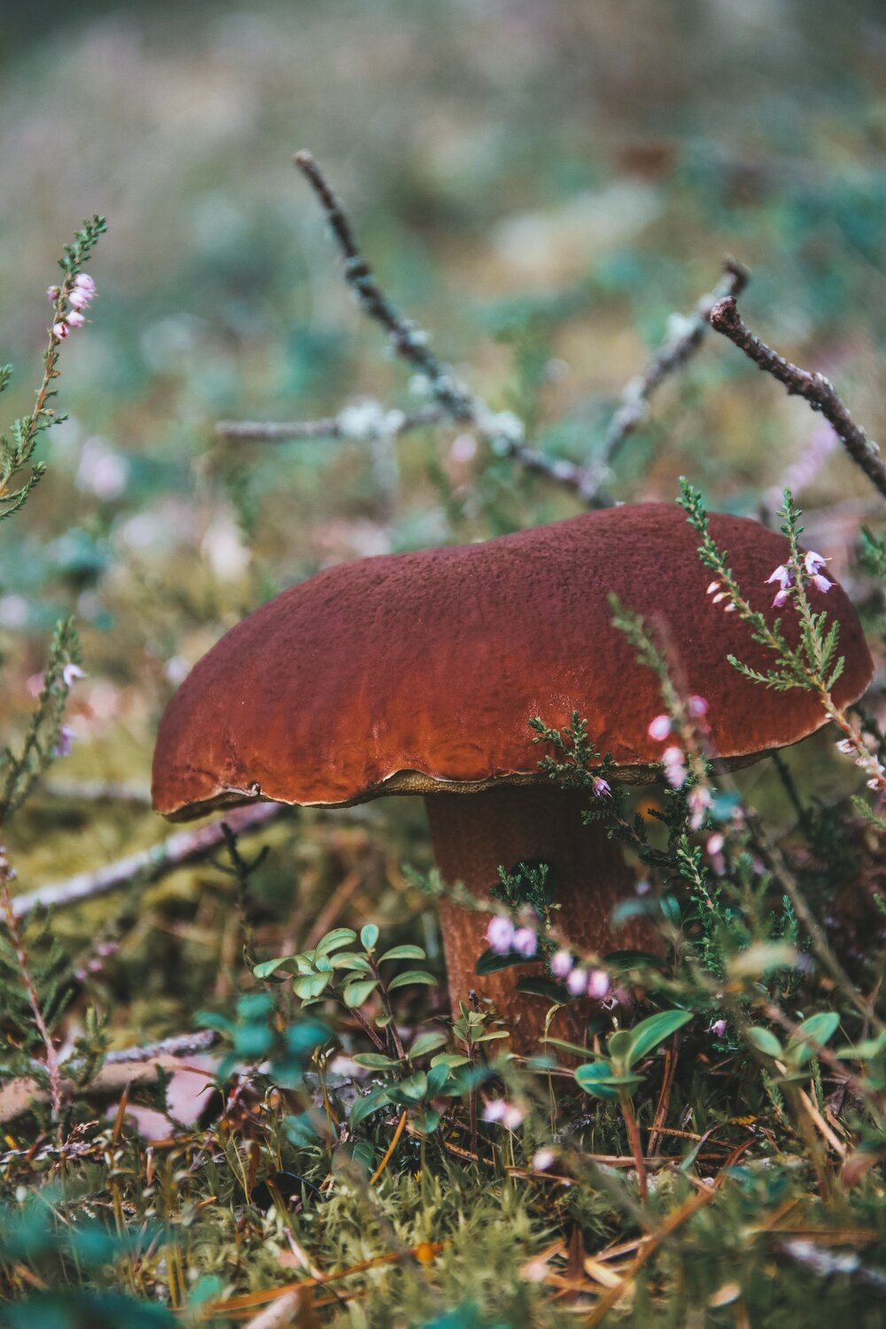 Photo #9564344