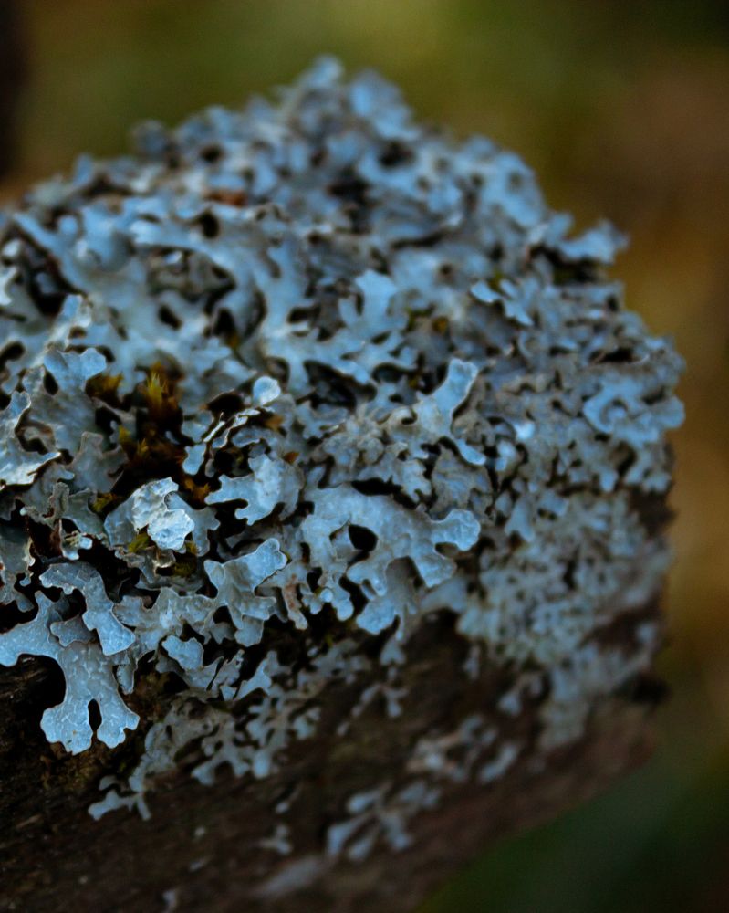 Photograph by Михаил Андронов