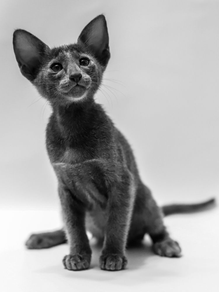 Photograph by Альвина Кузнецова